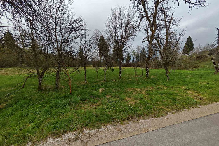 Lokacija: Notranjsko - kraška, Bloke, Radlek