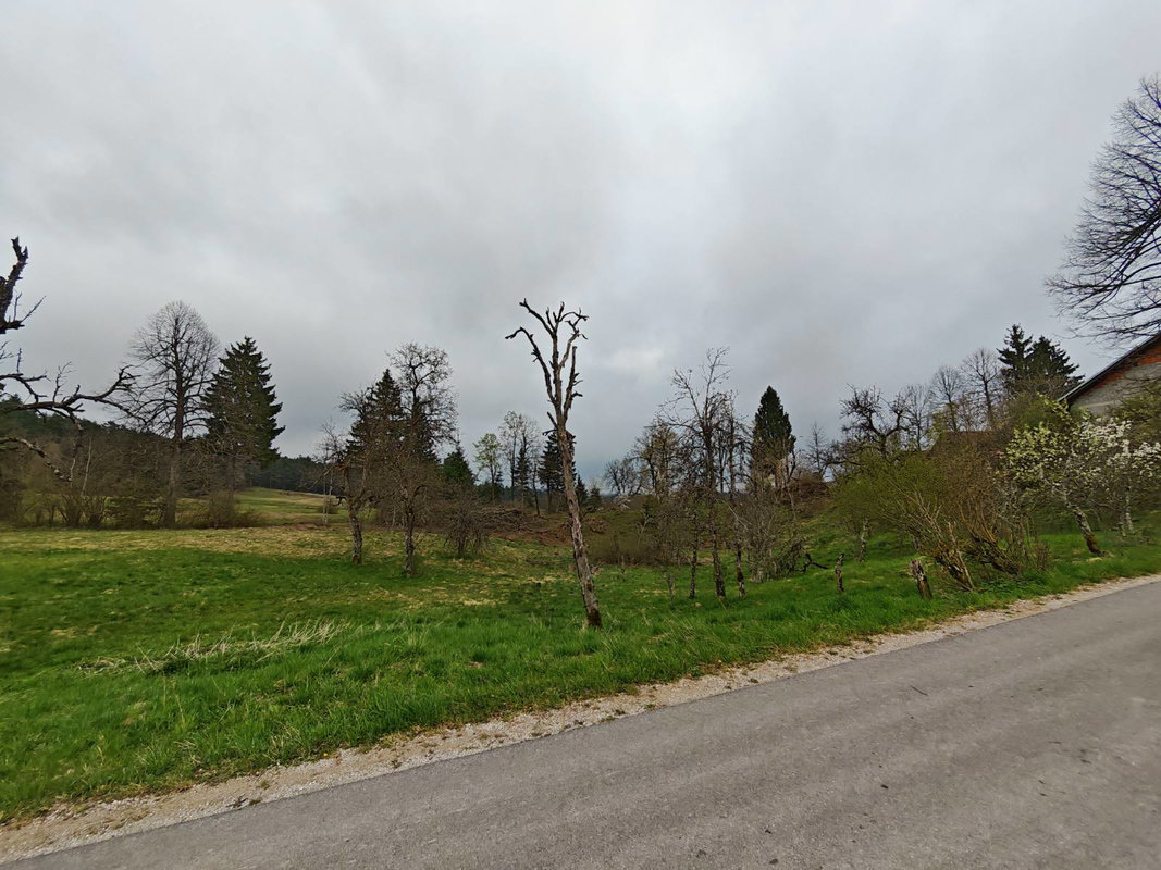 Lokacija: Notranjsko - kraška, Bloke, Radlek