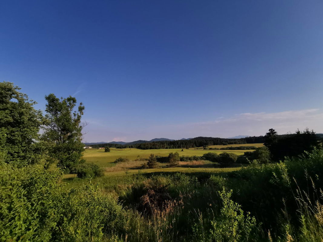 Lokacija: Notranjsko - kraška, Bloke, Ravnik