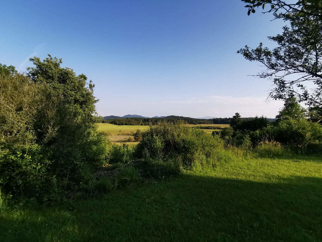 Lokacija: Notranjsko - kraška, Bloke, Ravnik