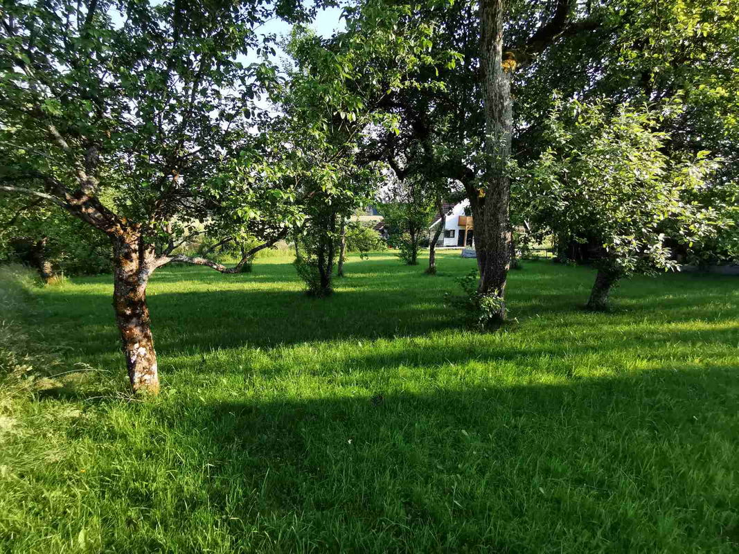 Lokacija: Notranjsko - kraška, Bloke, Ravnik