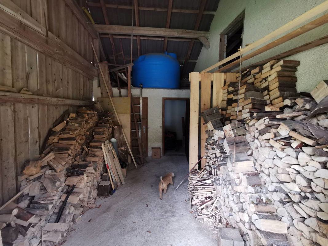 Lokacija: Notranjsko - kraška, Loška Dolina, Kozarišče