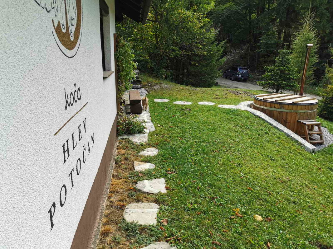 Lokacija: Notranjsko - kraška, Loška Dolina, Kozarišče