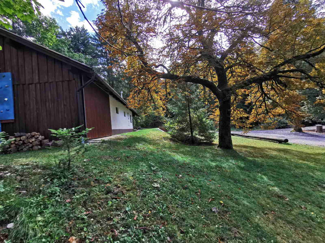 Lokacija: Notranjsko - kraška, Loška Dolina, Kozarišče