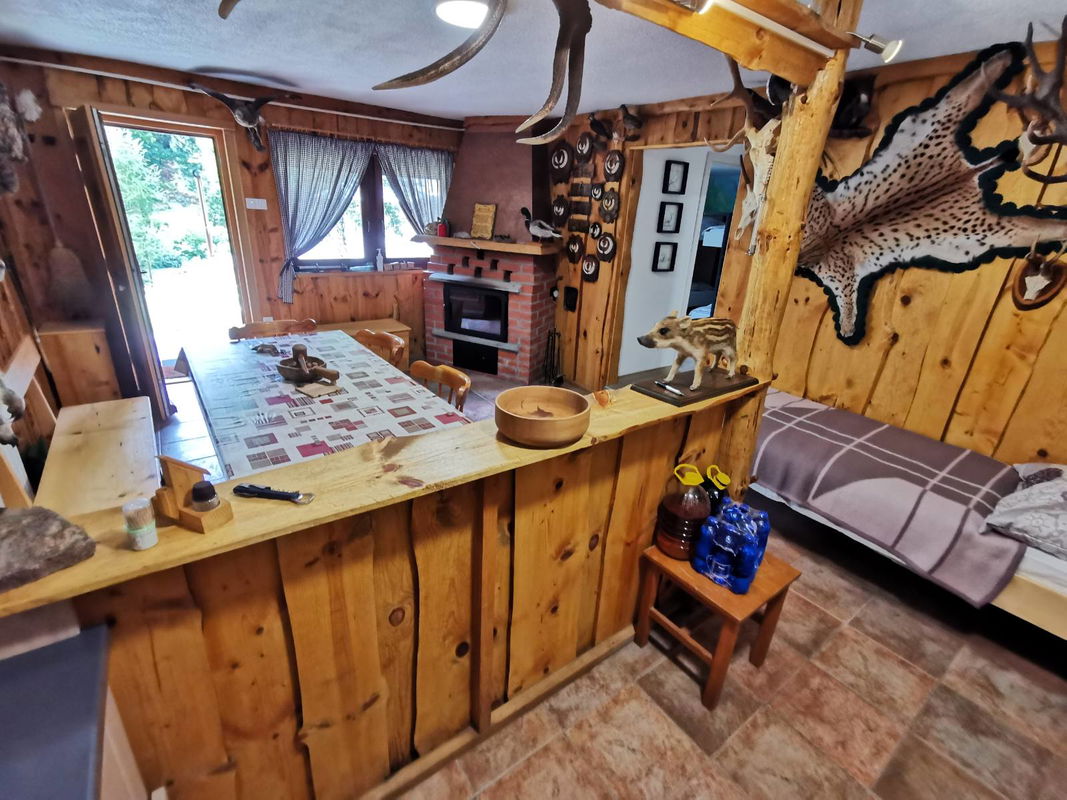 Lokacija: Notranjsko - kraška, Loška Dolina, Kozarišče