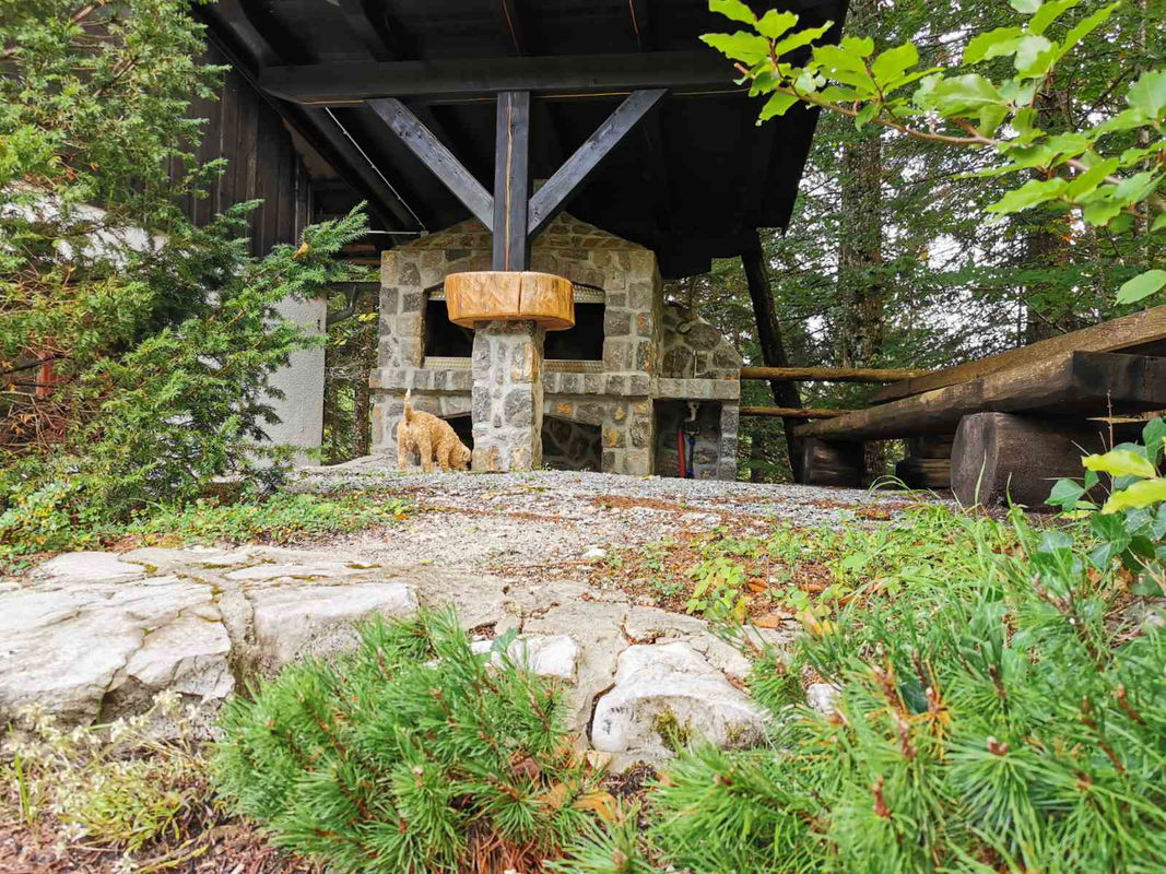 Lokacija: Notranjsko - kraška, Loška Dolina, Kozarišče