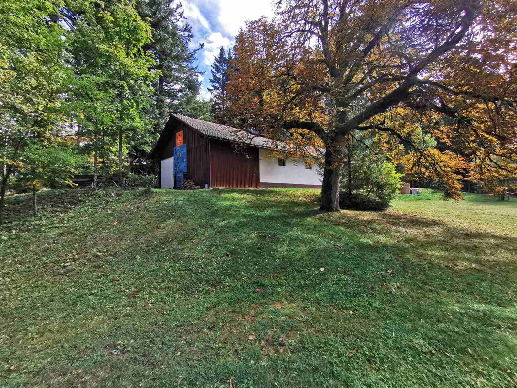 Lokacija: Notranjsko - kraška, Loška Dolina, Kozarišče
