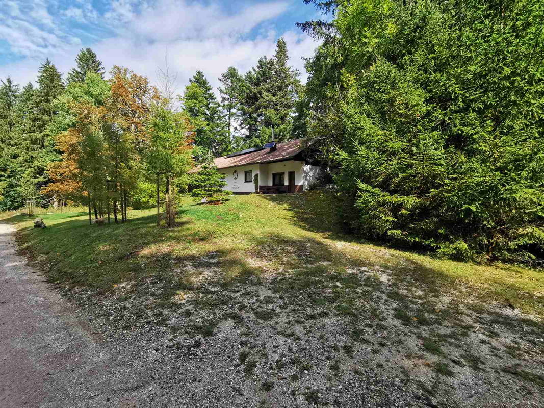 Lokacija: Notranjsko - kraška, Loška Dolina, Kozarišče