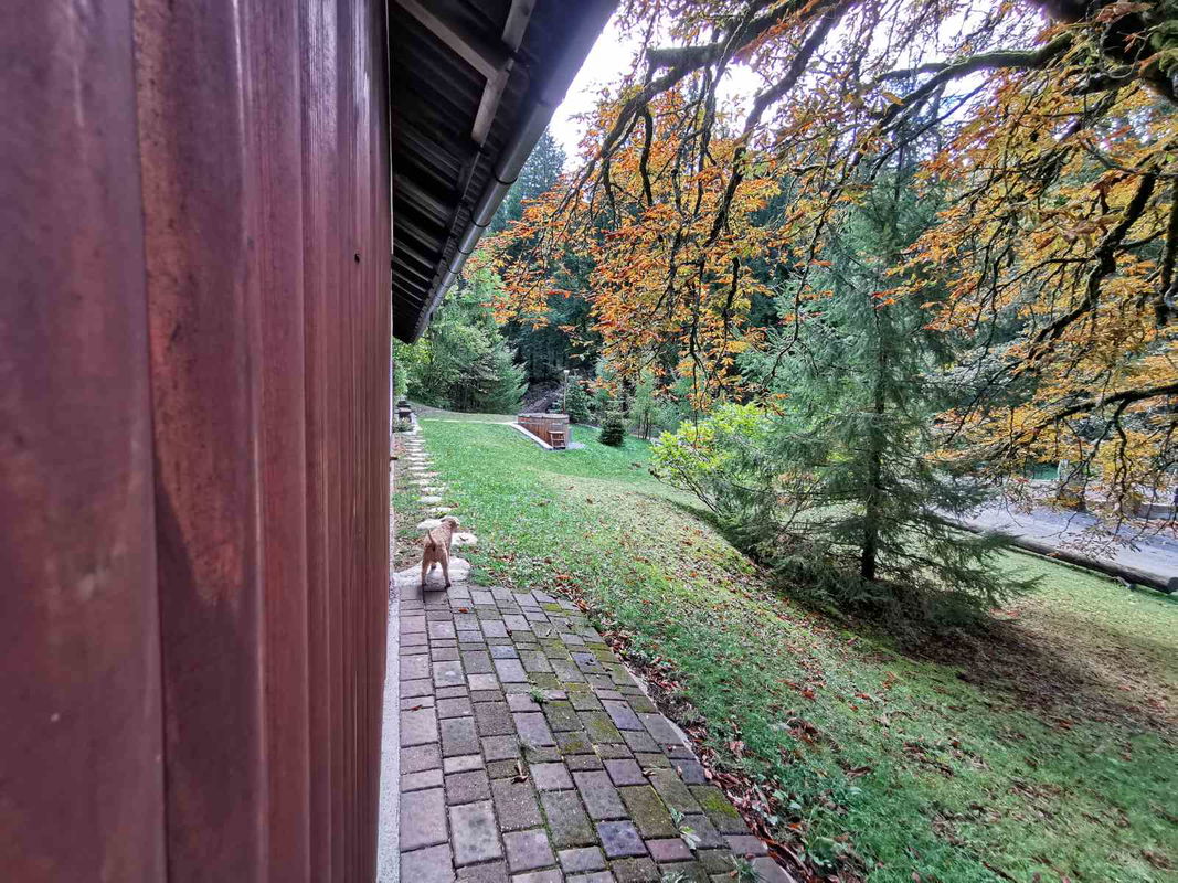 Lokacija: Notranjsko - kraška, Loška Dolina, Kozarišče