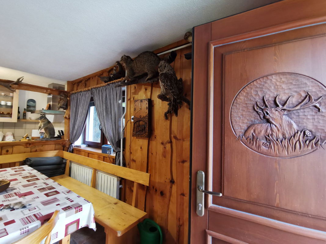 Lokacija: Notranjsko - kraška, Loška Dolina, Kozarišče