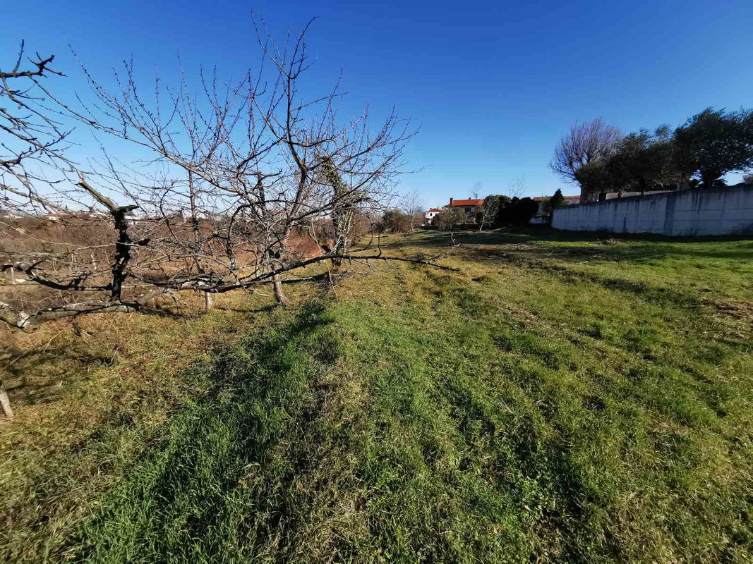 Lokacija: Obalno - kraška, Koper, Bertoki