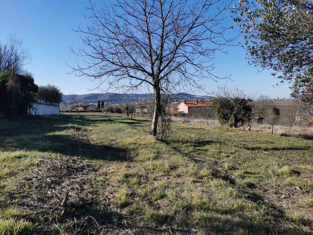 Lokacija: Obalno - kraška, Koper, Bertoki