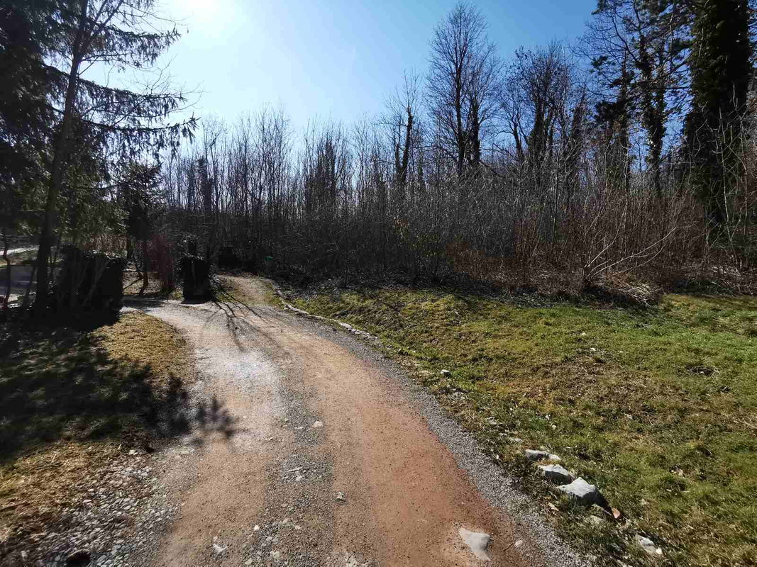 Lokacija: Notranjsko - kraška, Pivka, Pivka