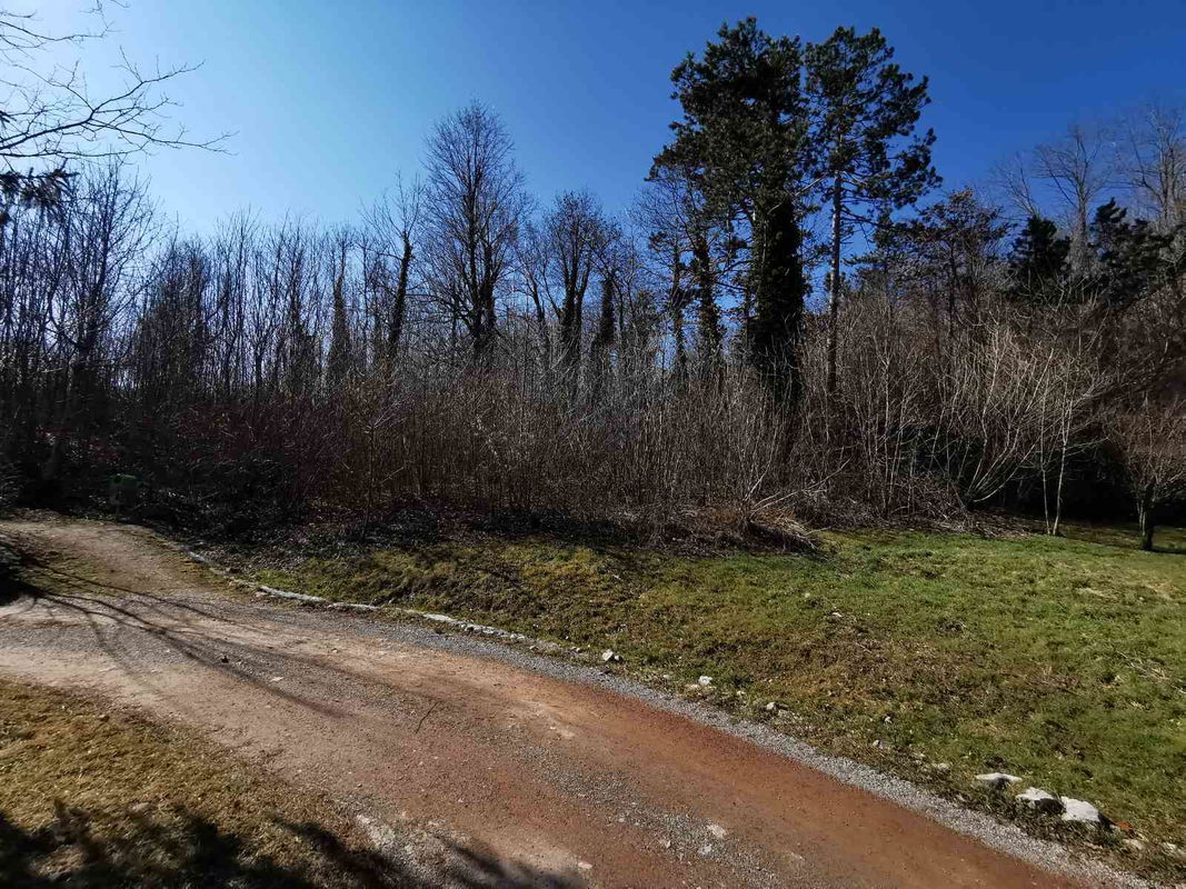 Lokacija: Notranjsko - kraška, Pivka, Pivka