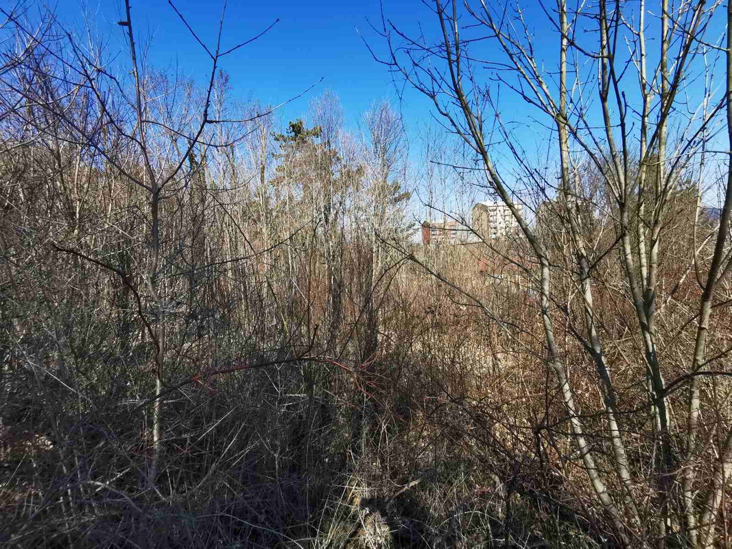 Lokacija: Notranjsko - kraška, Pivka, Pivka