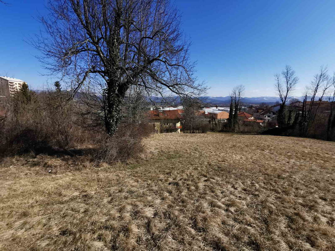 Lokacija: Notranjsko - kraška, Pivka, Pivka