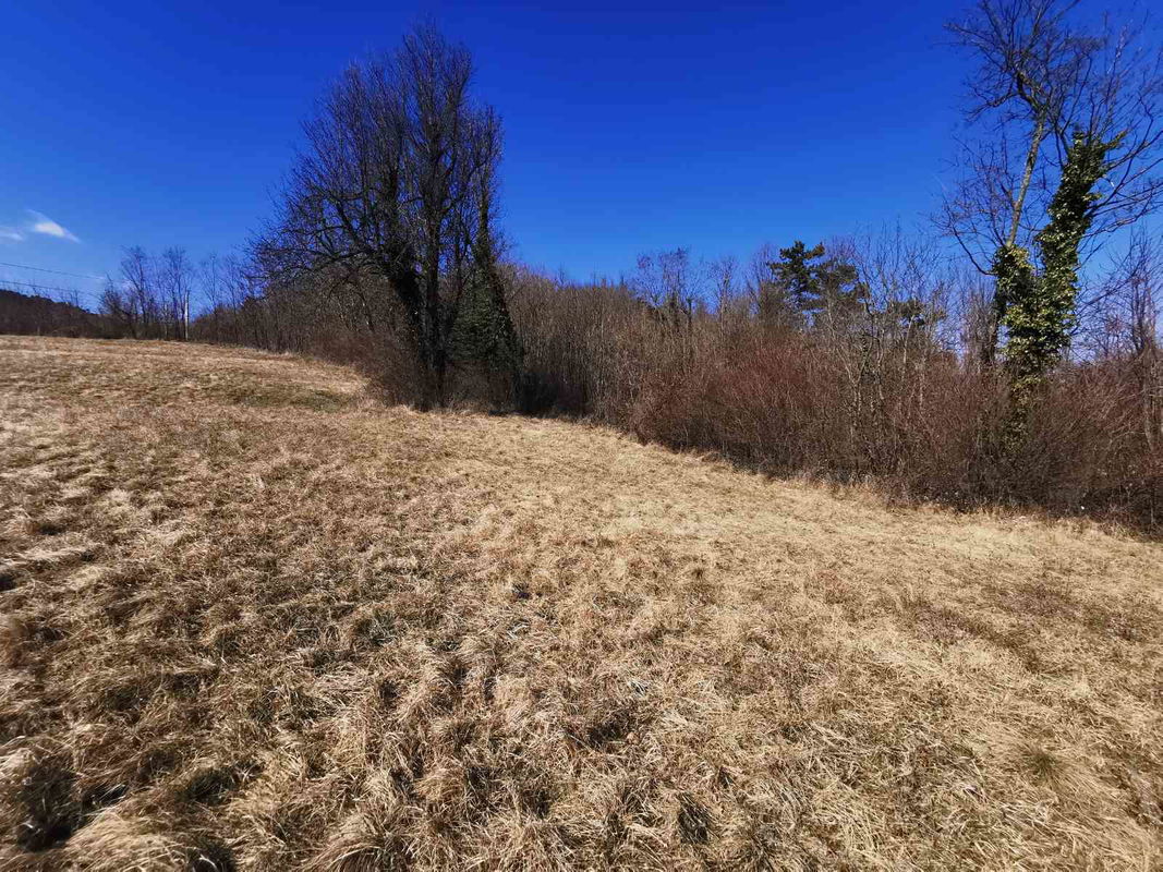 Lokacija: Notranjsko - kraška, Pivka, Pivka