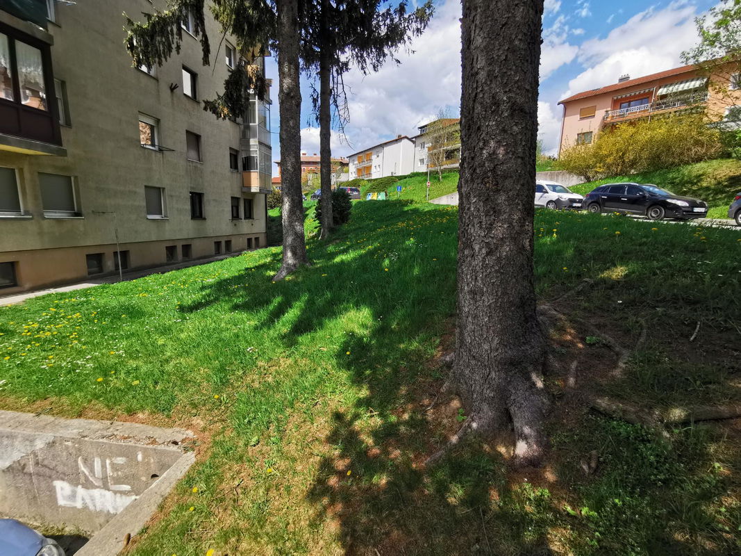 Lokacija: Notranjsko - kraška, Postojna, Postojna