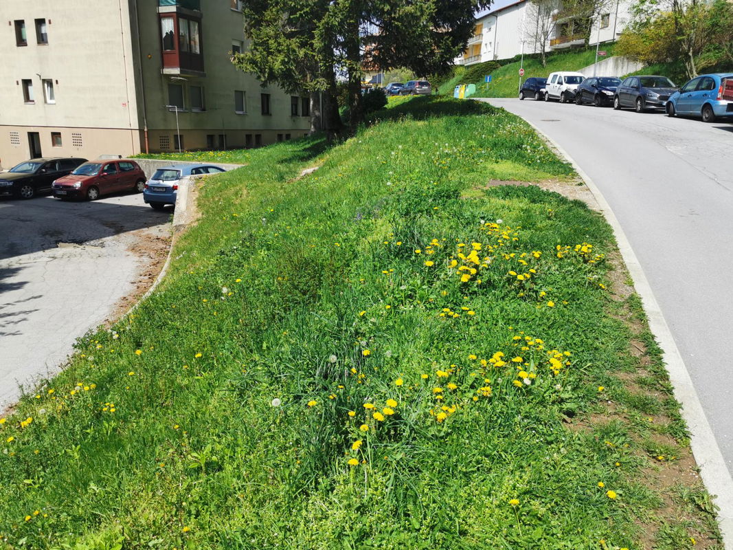 Lokacija: Notranjsko - kraška, Postojna, Postojna