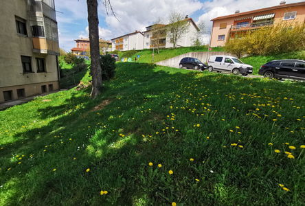 Location: Notranjsko - Kraška, Postojna, Postojna
