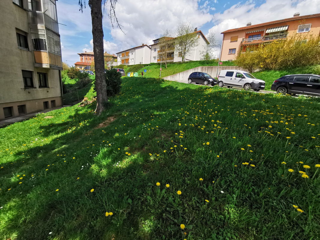 Lokacija: Notranjsko - kraška, Postojna, Postojna