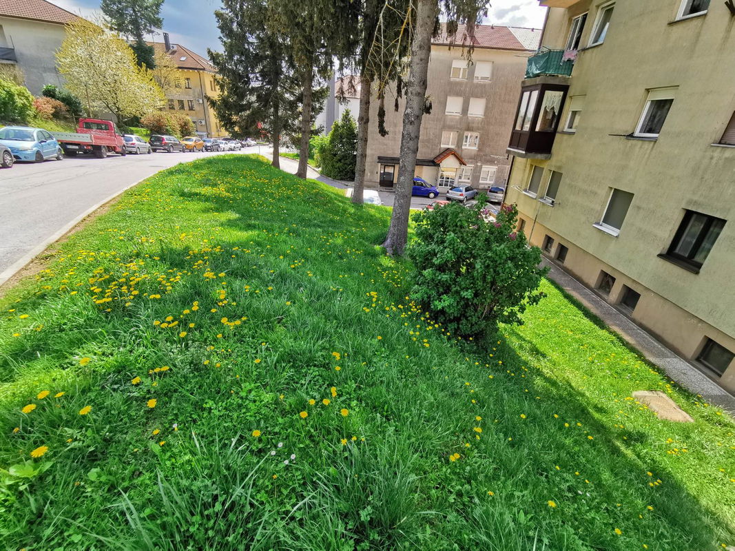 Lokacija: Notranjsko - kraška, Postojna, Postojna