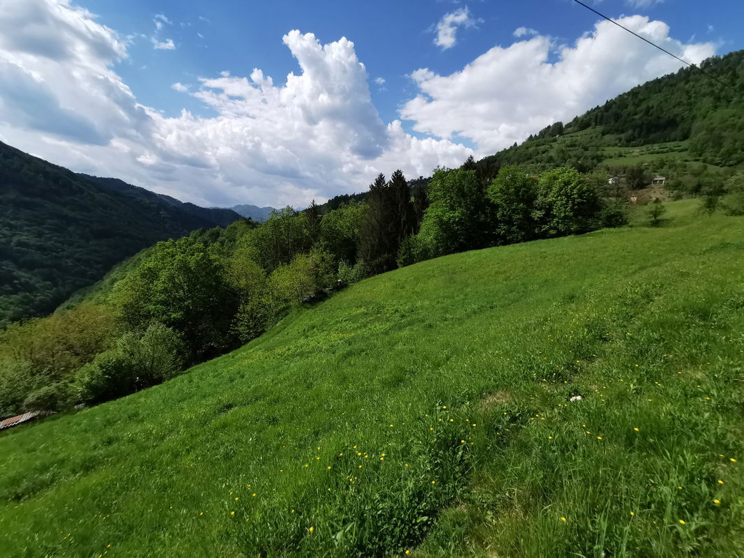 Lokacija: Goriška, Cerkno, Plužnje