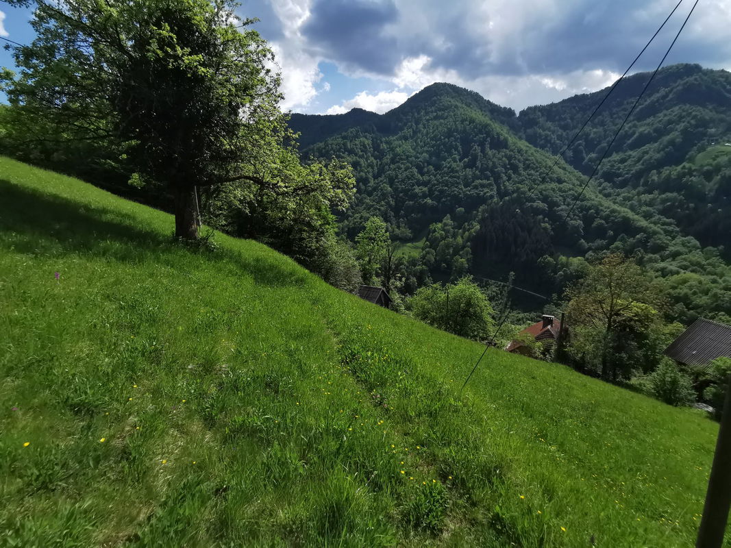 Lokacija: Goriška, Cerkno, Plužnje