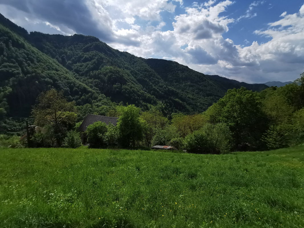 Lokacija: Goriška, Cerkno, Plužnje