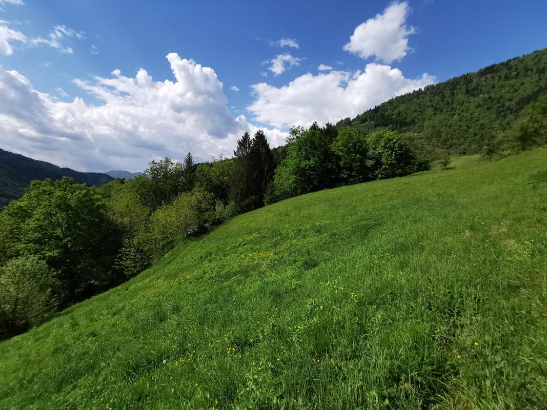 Lokacija: Goriška, Cerkno, Plužnje
