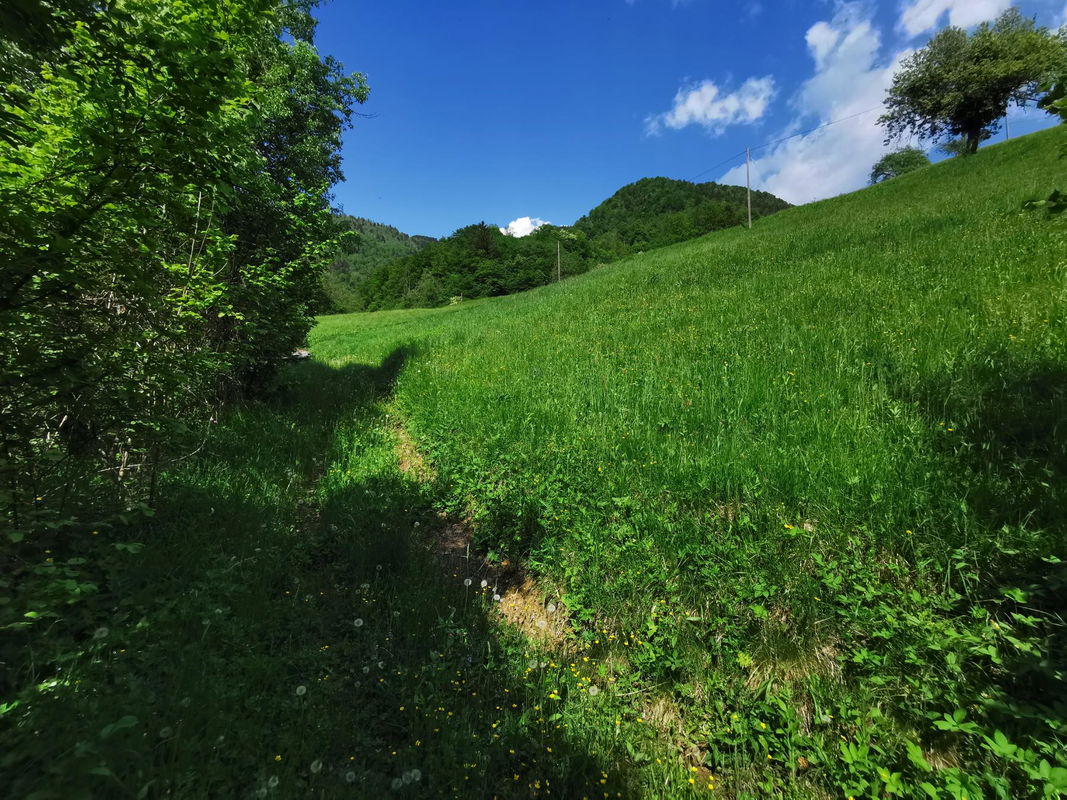 Lokacija: Goriška, Cerkno, Plužnje