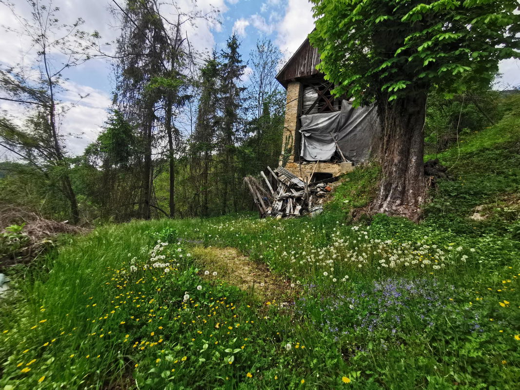 Lokacija: Goriška, Cerkno, Plužnje