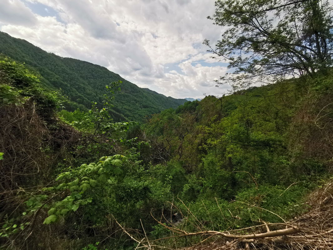 Lokacija: Goriška, Cerkno, Plužnje