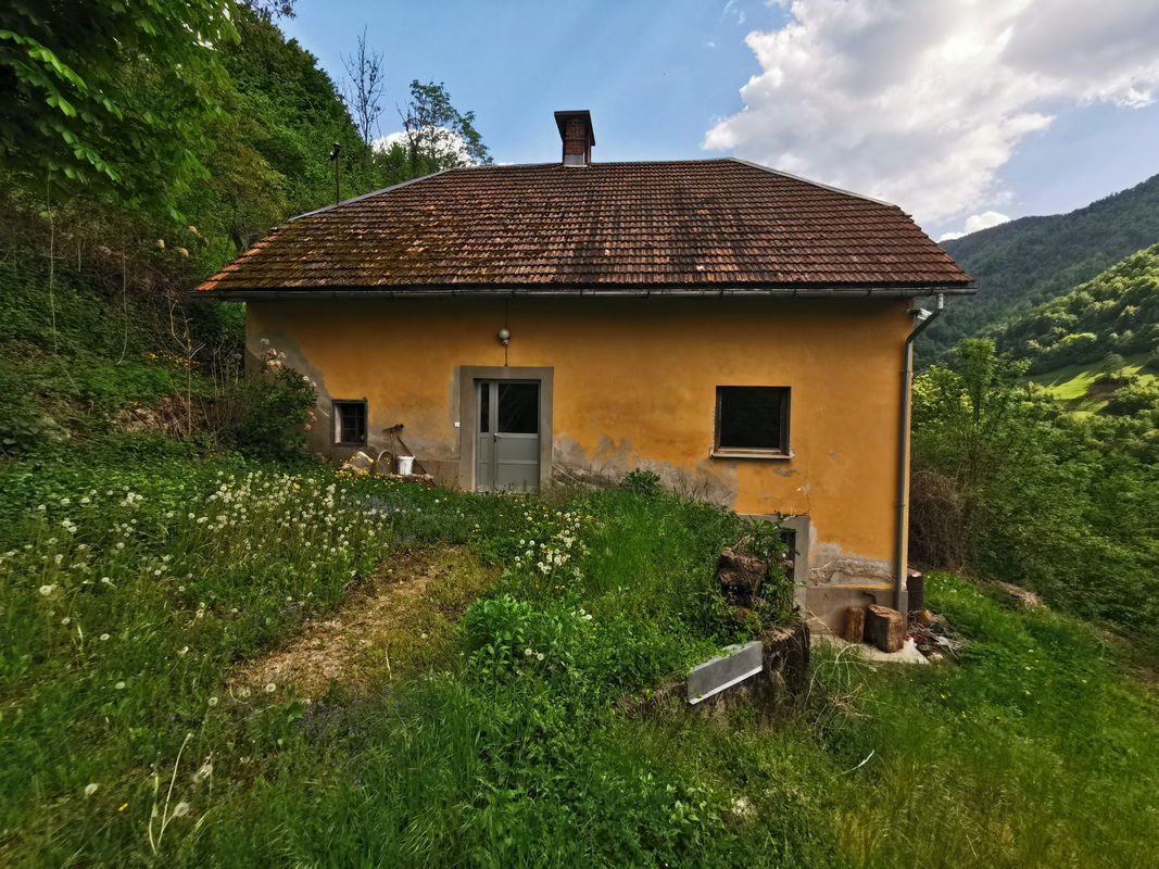 Lokacija: Goriška, Cerkno, Plužnje