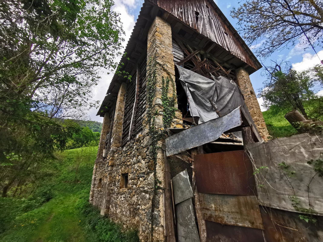 Lokacija: Goriška, Cerkno, Plužnje