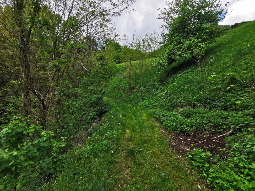Lokacija: Goriška, Cerkno, Plužnje