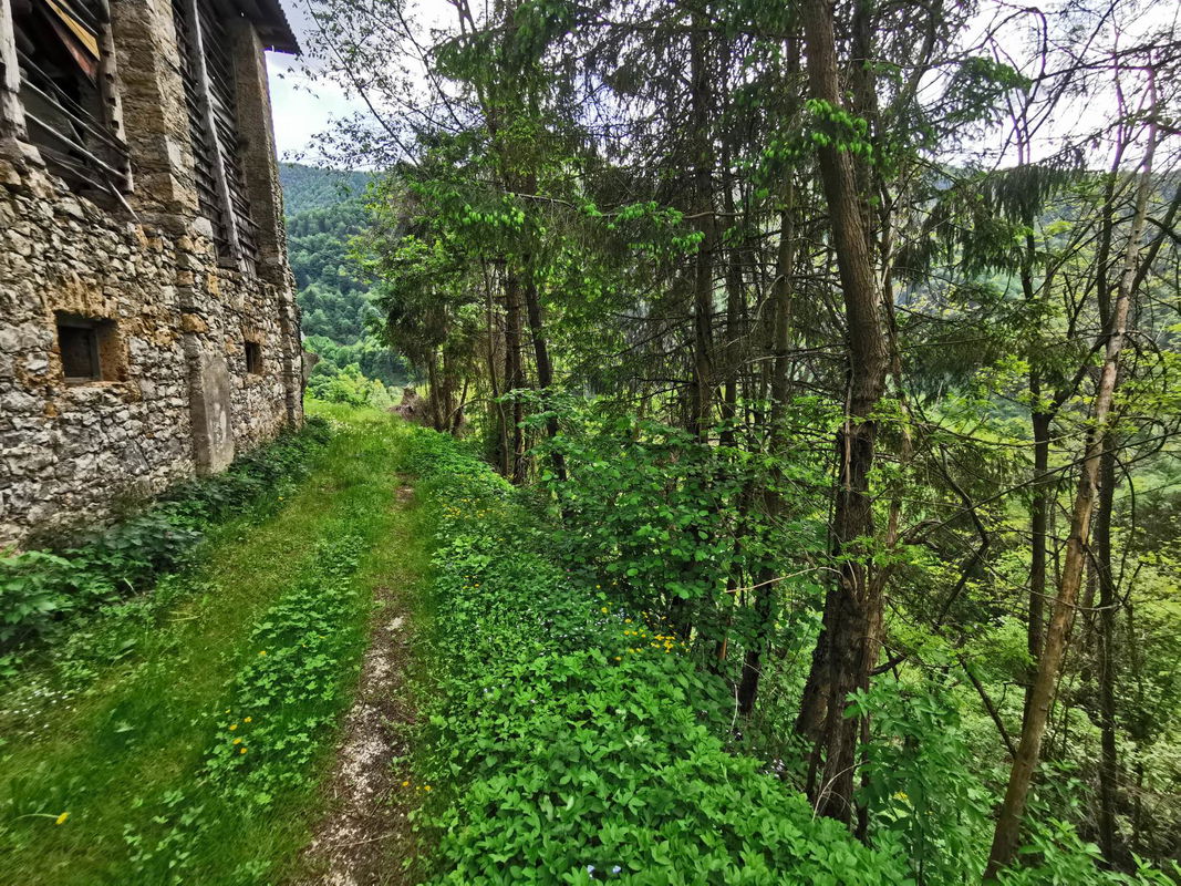 Lokacija: Goriška, Cerkno, Plužnje