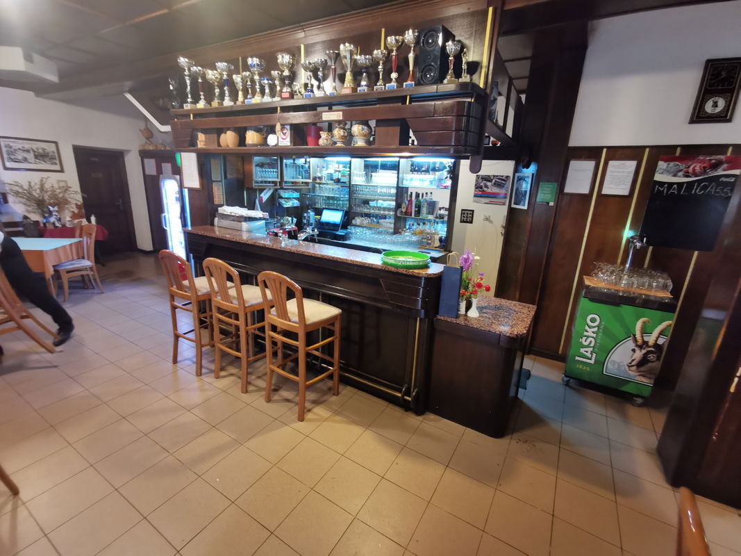 Lokacija: Notranjsko - kraška, Pivka, Pivka