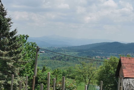 Lokacija: Notranjsko - kraška, Postojna, Strane