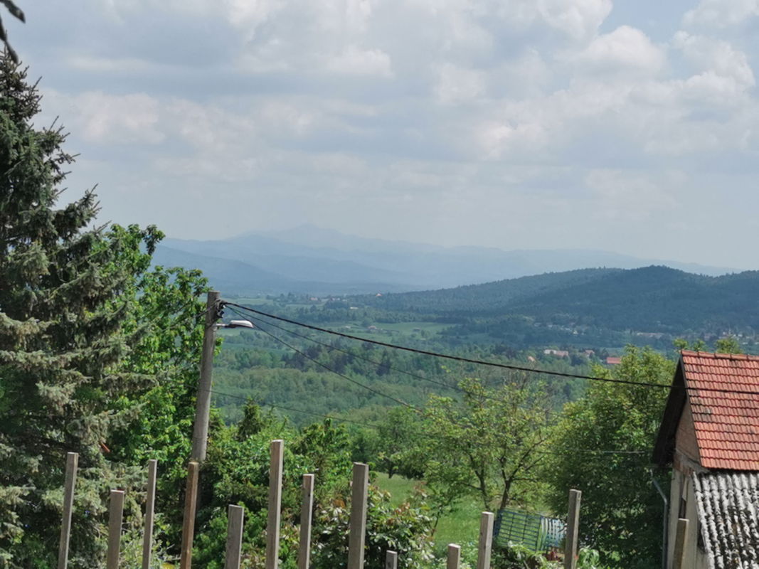 Lokacija: Notranjsko - kraška, Postojna, Strane