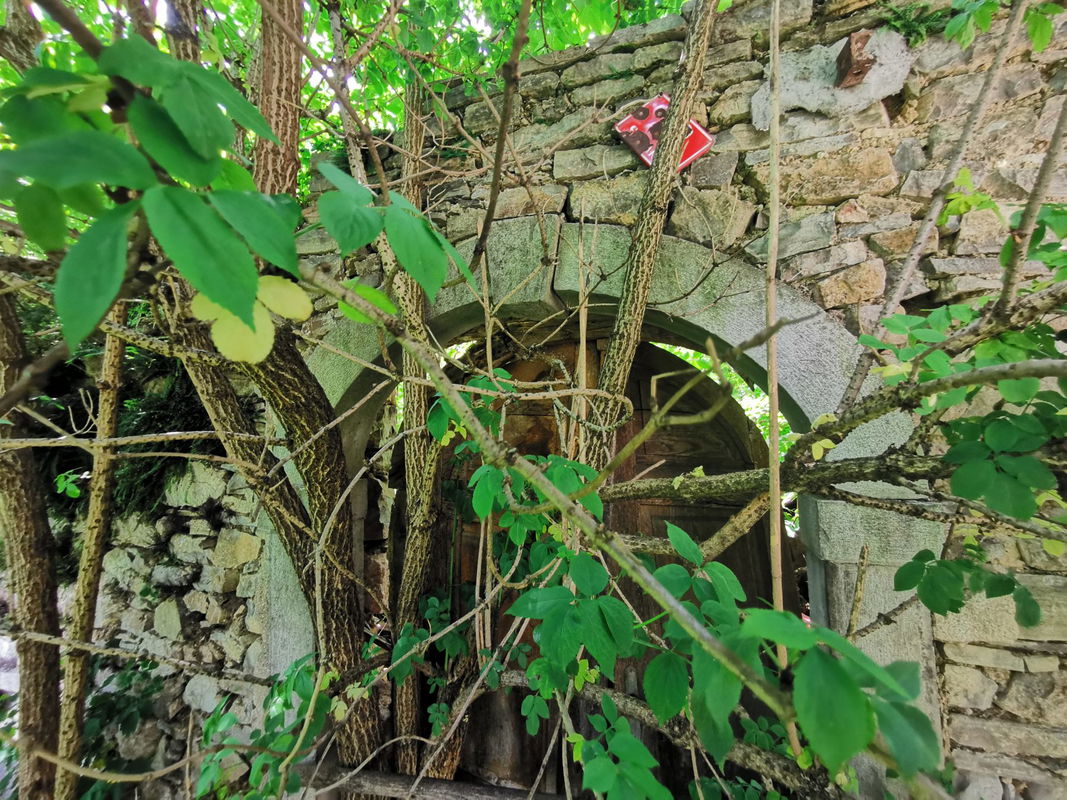 Lokacija: Notranjsko - kraška, Postojna, Strane