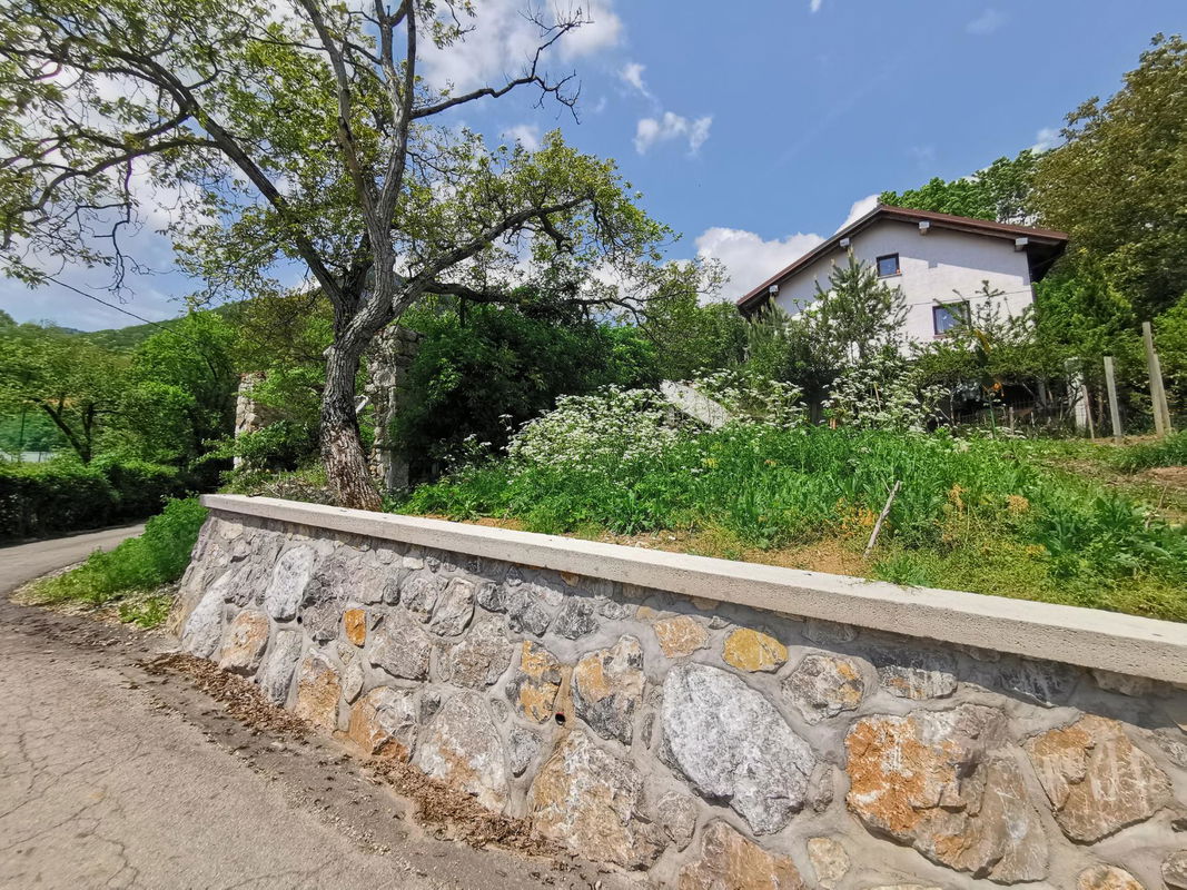 Lokacija: Notranjsko - kraška, Postojna, Strane