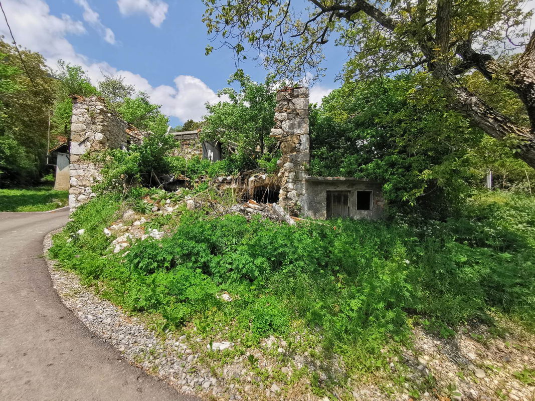 Lokacija: Notranjsko - kraška, Postojna, Strane