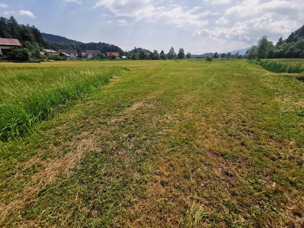 Lokacija: Ljubljana okolica, Vrhnika, Drenov grič