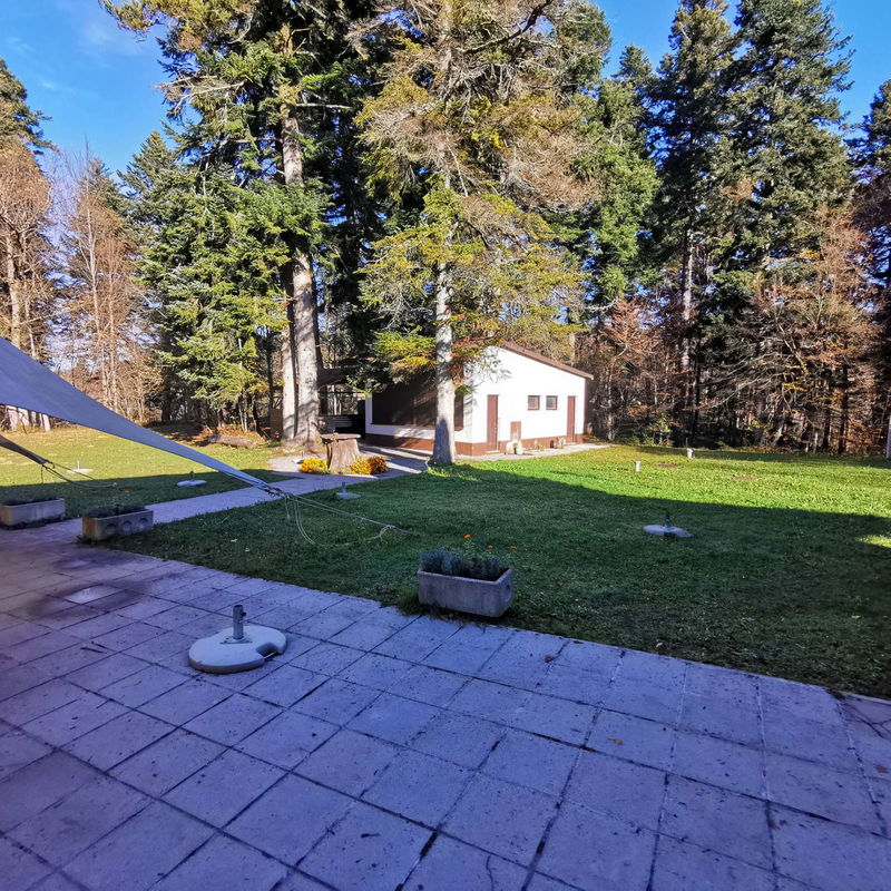 Lokacija: Notranjsko - kraška, Cerknica, Rakov Škocjan