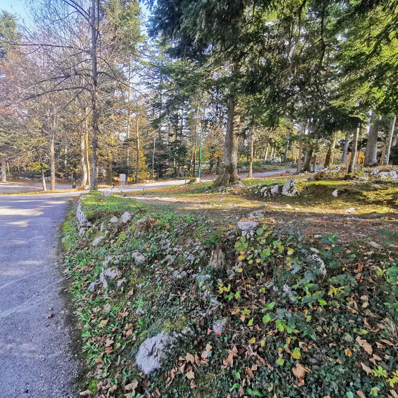 Lokacija: Notranjsko - kraška, Postojna, Postojna