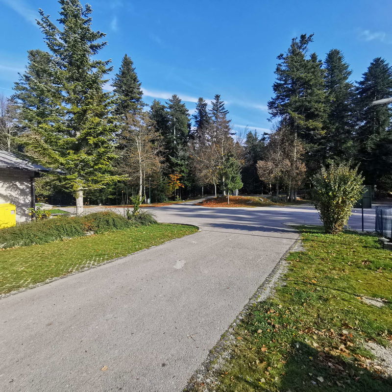 Lokacija: Notranjsko - kraška, Postojna, Postojna