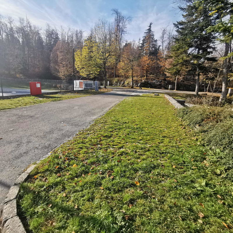 Lokacija: Notranjsko - kraška, Postojna, Postojna