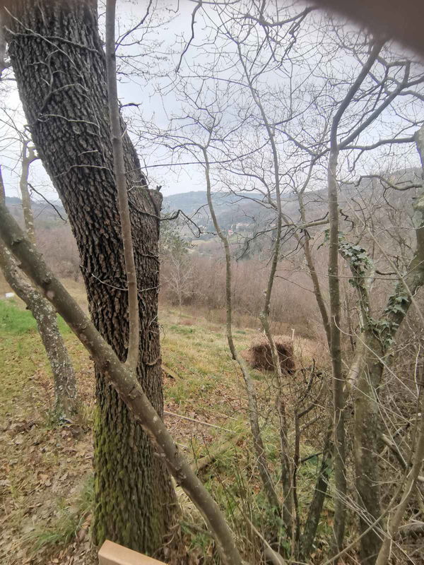 Lokacija: Obalno - kraška, Piran, Strunjan