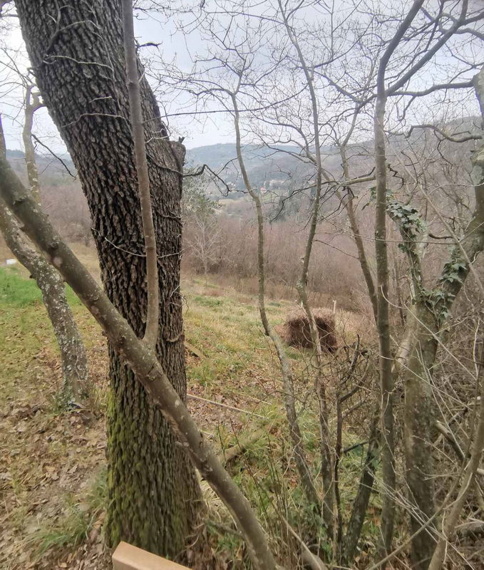 Lokacija: Obalno - kraška, Piran, Strunjan